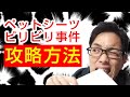 子犬がトイレシーツを破るのを解決する必須アイテムとは？