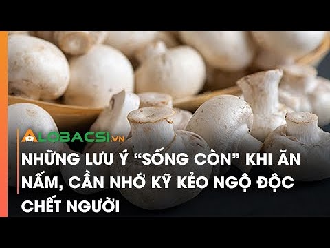 Video: Đắng có phải là nấm ăn được hay không?