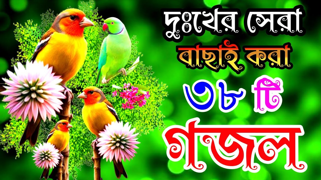 দুঃখের সেরা হৃদয় ছোঁয়া ৩৮টি গজল |বাংলা বাছাইকৃত গজল |Selected Gajal |New Gazal |New Bangla Gojol