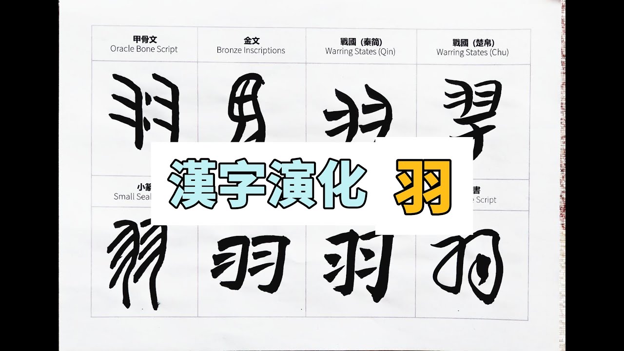 羽 字：从甲骨文到楷书,汉字书写的演变 #calligraphy #汉字 #art #汉字 #书道 #handwriting #漢字 #書道 ...