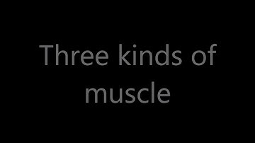 CC week 3, cycle 3, science, 3 kinds of muscle