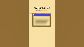 What flag is it? Comment below #shorts #minecraft #foryou