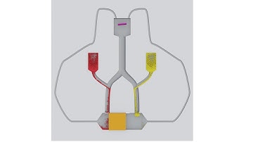 Particle Simulation #25 : Move Like Fluid Simulation Yellow vs Red