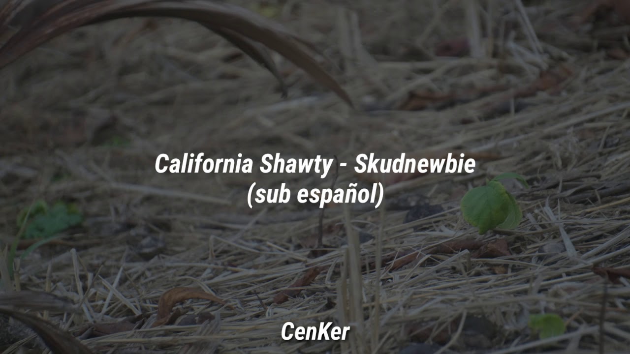 California Shawty - Skudnewbie (sub español)