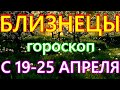 ГОРОСКОП БЛИЗНЕЦЫ С 19 ПО 25 АПРЕЛЯ НА НЕДЕЛЮ. 2021 ГОД