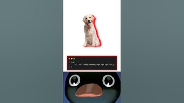 CSS Tricks: How to Add Shadow in Images for a Professional Look #Shorts #image #shadow