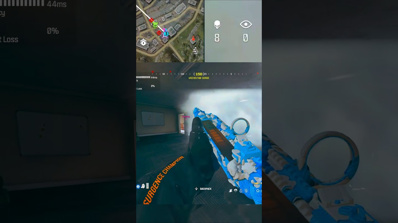 Am i A Warzone Sweat? 🤨