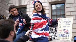 The Brexit Betrayal Rally Interviews