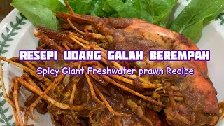 Resepi Udang Galah Berempah/ spicy giant freshwater prawn recipe (english subtitle)