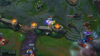 Fizz e bug