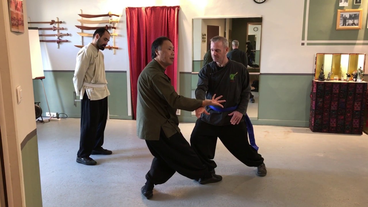 Tui Shou - quelques principes de synthèse et applications