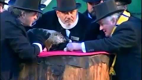 Groundhog Day 2013 VIDEO Punxsutawney Phil Sees No Shadow, Predicts Early Spring