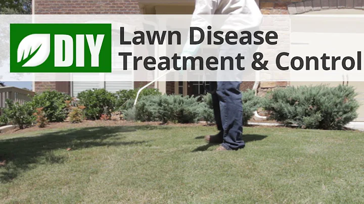 Lawn Disease Treatment and Control