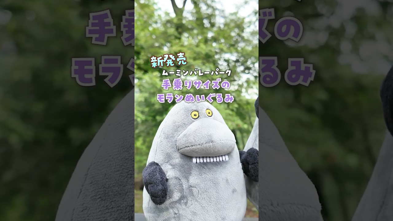 New Release] Palm-sized Morran Plushie is here✨ - YouTube