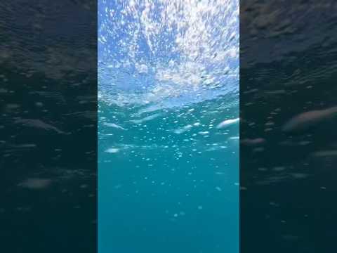 Это ОЗЕРО Иссык Куль Кыргызстан ты почему такой красивый