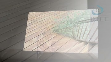 Gỗ Teak là gì? Đặc điểm và ứng dụng gỗ teak trong thiết kế nội thất