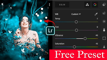 Lightroom Butterfly Photo Editing | Lightroom Se Background Colour Change Kaise Kare 🔥Free preset