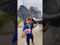 THIS Giant Elephant Crying ЁЯе ЁЯРШ THIS Giant Elephant Crying ЁЯе ЁЯРШ