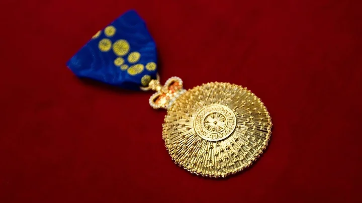 Arndt 'has brought OAM into disrepute': Nicholas R...