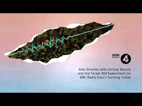 Forest 404 on BBC Radio 4