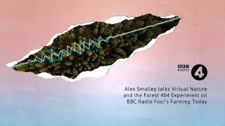 Forest 404 on BBC Radio 4