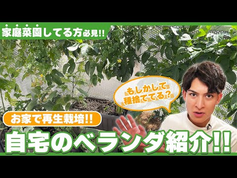 そらベジ🥝ガーデンハック - YouTube