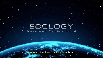 Ecology: Nutrient Cycle Pt.4