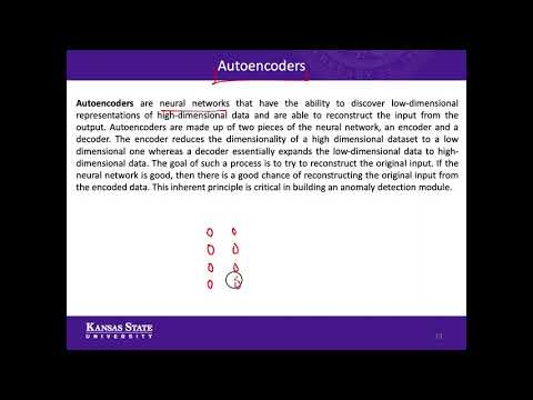 Anomaly Detection in