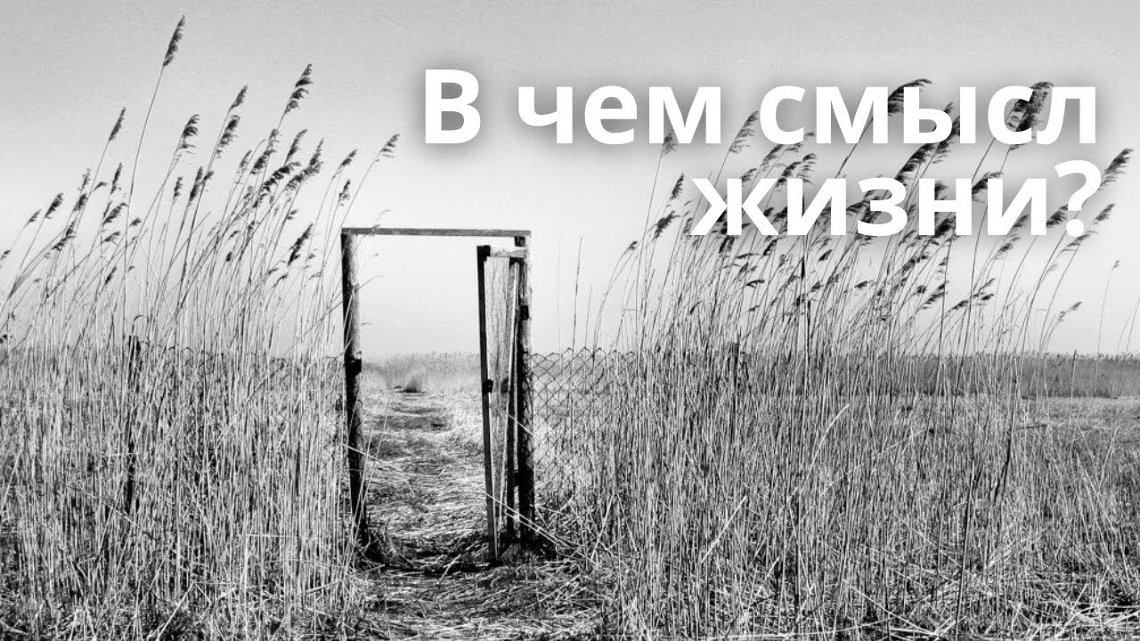 Путь к свободе и смысл жизни - YouTube
