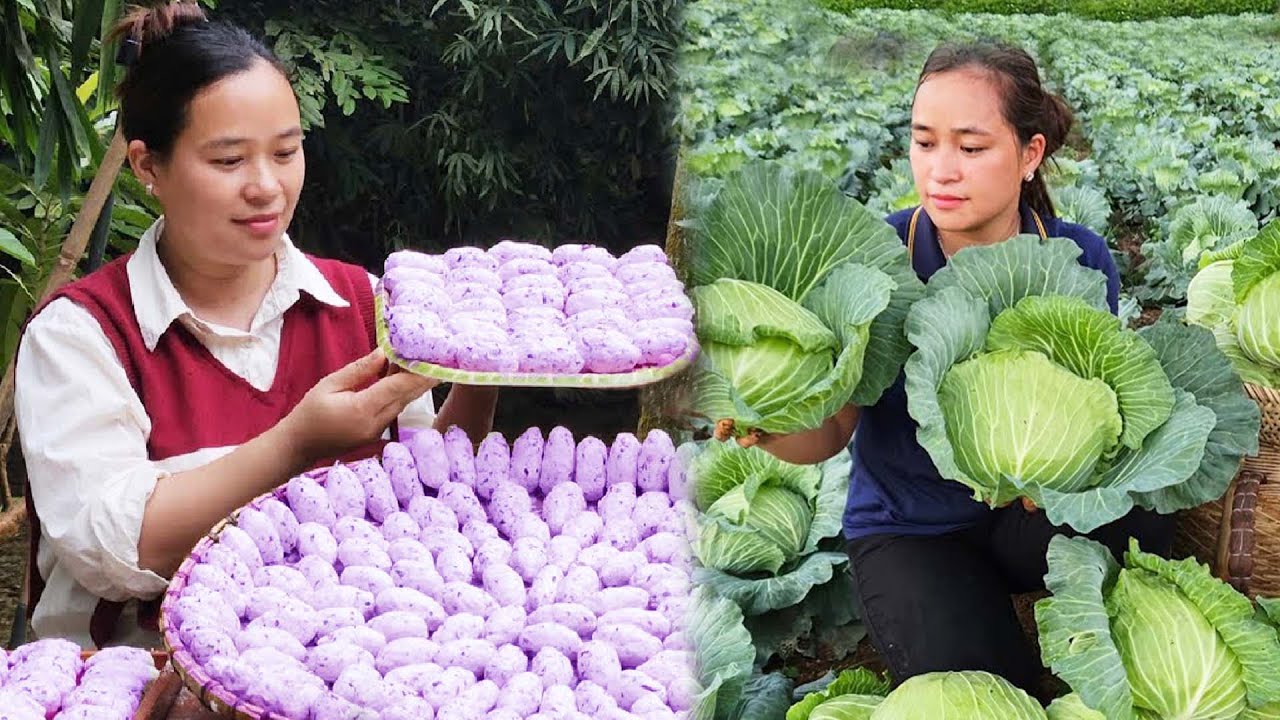 How to Make Cabbage Cake Goes to market sell -My Aunt Came To Take Care Of Pregnant Lady