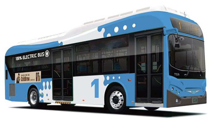 ë²ì¤ì ëí ì´ë¯¸ì§ ê²ìê²°ê³¼