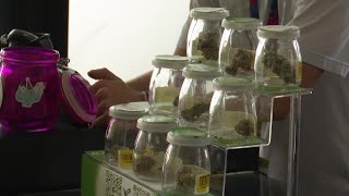 Proposed bills would make big changes to Montana marijuana industry
