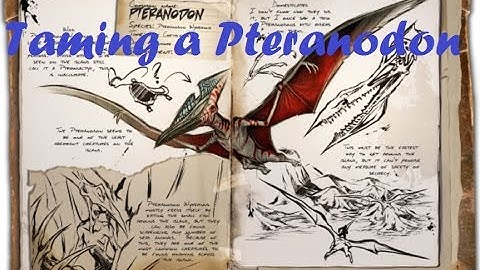 Taming a Pteranodon Tips and Tricks   ARK Survival Evolved