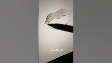 How I Draw Lips Part 2: Procreate Timelapse ✨ #shorts #drawing