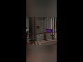 Lego Jurassic World; Short 5
