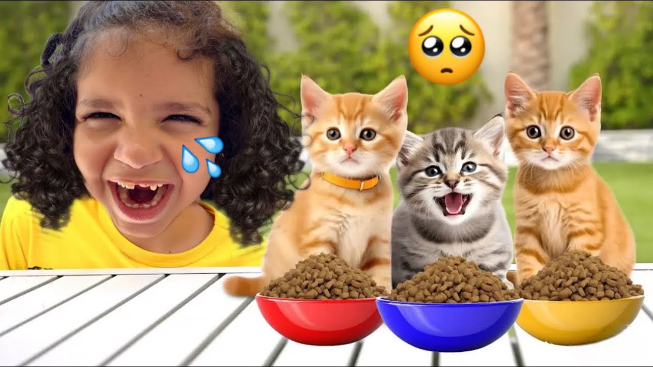 J’ai abandonné, mais bébé chaton 🥲