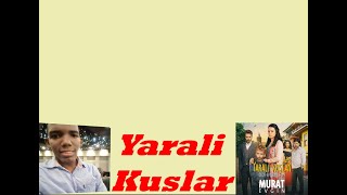 Yarali Kuslar Letra- Murat Evgin Cover Hainer Arroyo