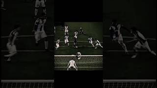 ICEDMANE Canto de Luna...