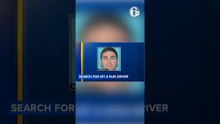 Diver wanted for ramming car into people outside bar: Police