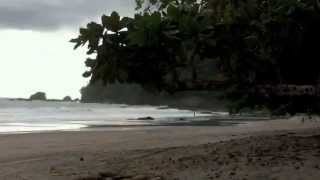 Download Lagu Mirando Hacia Japan-Flamenco steps MP3