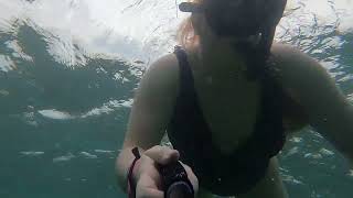 Snorkeling with the Fish & Stingrays under the dock at Isla Mujeres Mexico on 8/18/2022! PART 2 of 2