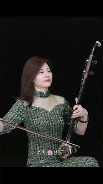 Erhu Instrument 104