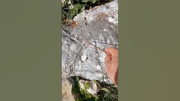 تحليل المثلث تحليل كنوز قبر كنوز ودفائن 