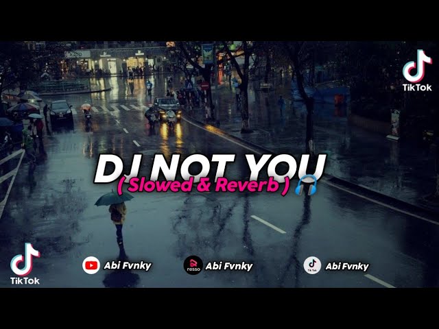 DJ Not You ( Slowed & Reverb) 🎧 class=