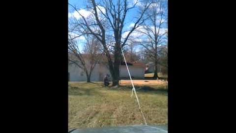 The Stihl and the Willow