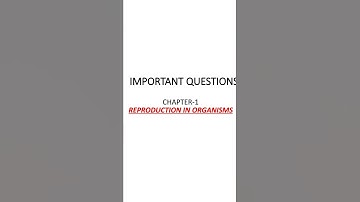 Important questions of reproduction in organisms for class 12 biology || PSEB /CBSE