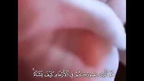 القارئ عبدالرحمن مسعد - إنّ الله لا يخفى عليه شيء في الأرض ولا في السماء
