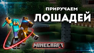 Мод на Лошадей в Minecraft | SWEM - Star Worm Equestrian Mod