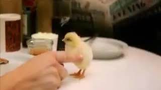 Funny saraiki dubbing video