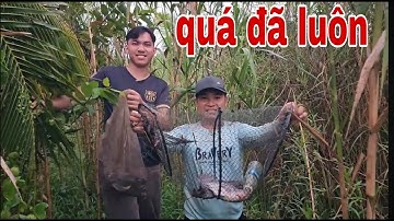 Mấy Anh Em Đi Thăm Lờ Cá Lóc Vào Mùa Nước Nổi # SĂN BẮT ĐỒNG THÁP #